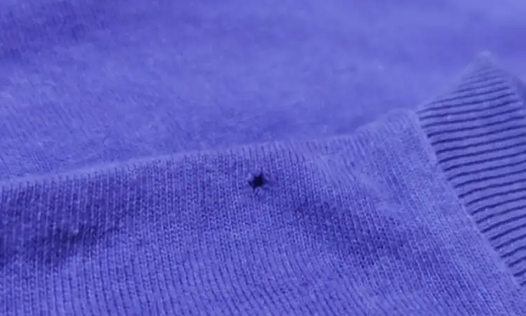 Penyebab baju bolong kecil, Sumber: republika.co.id