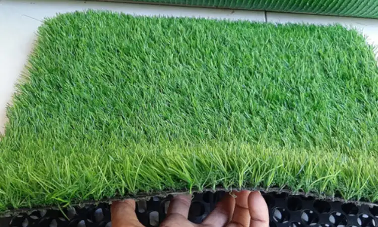 Pencegahan tumbuhnya jamur, Sumber: rumputsintetisindo.com