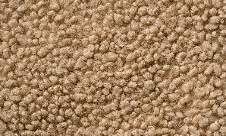 Karpet jamur, Sumber: pexels.com