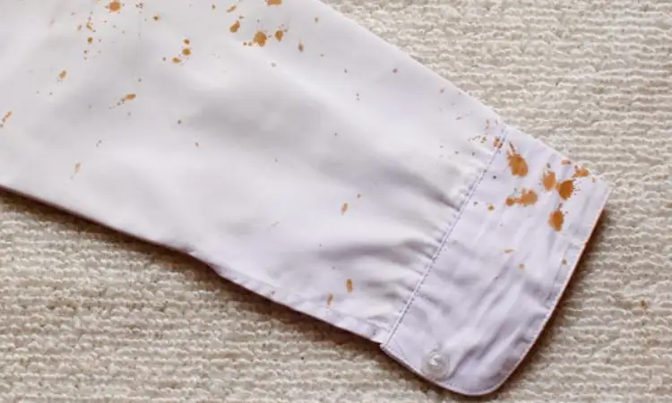 Noda karat di baju, Sumber: maids.com