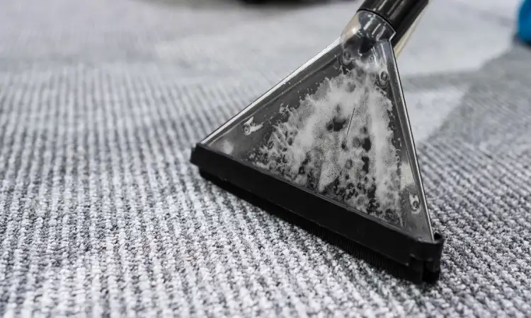 Tips menghilangkan jamur karpet, Sumber: flooringfactoryoutlet.co.uk