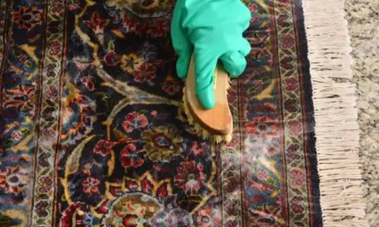 Membilas karpet dengan benar, Sumber: dekoruma.com