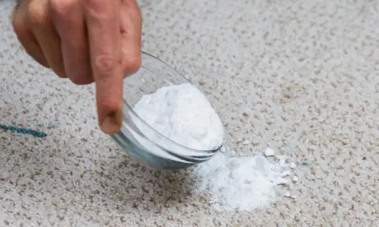 Taburkan baking soda, Sumber: undertherugfloorcare.com